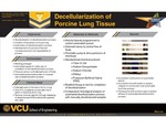 Decellularization of Porcine Lung Tissue