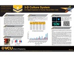 3-D Culture SystemFor Rapid Expansion of Human Neural Stem Cells by Waleed Ilyas, Jeeyun Park, Dan Reep, and Lawrence Talej