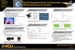 Thermo-Regulated Device for Extremities Affected by Raynaud’s Disease