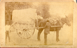 Men Selling Melons off a Horse Drawn Cart