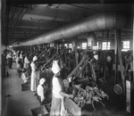 Tobacco Factory Interior: Stemming Machines