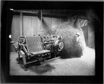 Tobacco Factory: woman and stemming machine