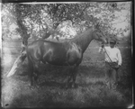 Horse Belonging to Bryan Family