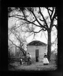 Aunt Haley at Tuckahoe taken about 1900 by Cook Studio