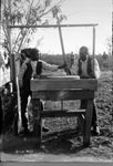 Grinding Corn for Hominy-South Carolina by Cook Studio