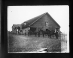 Group of Horses in front of Barn