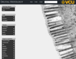 Digital Histology