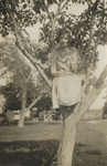 Girl Scout in Tree