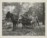 Girl Scout Camp Pocahontas Scenes, 1930s