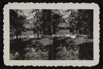 Girl Scout Camp Scene