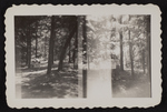 Girl Scout Camp Scene