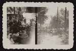 Girl Scout Camp Scene