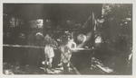 Girl Scout Camp Scene