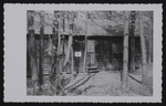 Girl Scout Camp Scene