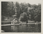 Girl Scout Camp Scene