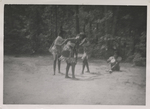 Girl Scout Camp Pinoaka Scene, 1950