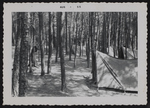 Girl Scout Camp Scene, 1955 August