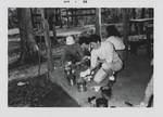 Girl Scout Camp Scene, 1959 April