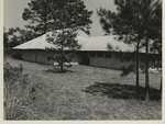 Girl Scout Camp Scene
