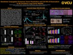 Dendrimer Conjugation Enhances Tumor Penetration and Cell Kill of Doxorubicin in 3D Coculture Lung Cancer Models by Rashed Almuqbil, Rodrigo S. Heyder, Elizabeth R. Bielski, Mikhail Durymanov, Joshua J. Reineke, and Sandro R. P. da Rocha