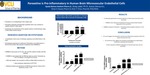 Paroxetine is Pro-inflammatory in Human Brain Microvascular Endothelial Cells