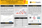 Mapping opioid mortality rates across treatment capacity to identify need and access