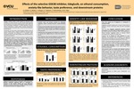 Effects of the Selective GSK3B Inhibitor, Tideglusib, on Ethanol Consumption, Anxiety-like Behavior, Taste Preference, and Downstream Proteins
