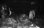 Tobacco sale at Middle Warehouse, Farmville, Va., 1962-1962