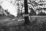 Sign ("Dictatorship") on tree, Powhatan County, Va., 1962-1963 by Edward H. Peeples