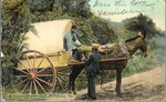 Typical Market Cart, Richmond, Va. by Leighton & Valentine Co.