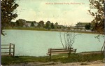 View in Idlewood Park, Richmond, Va.