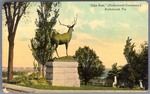 Elks Rest (Hollywood Cemetery,) Richmond, Va. by Southern Bargain House, Richmond, Va.