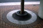 Tree well by Richmond (Va.). Division of Comprehensive Planning
