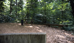 Picnic Area by Richmond (Va.). Division of Comprehensive Planning