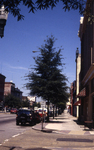 Broad St. Streetscape by Richmond (Va.). Division of Comprehensive Planning
