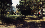 Parks & Plazas Fan Mini Park by Richmond (Va.). Division of Comprehensive Planning