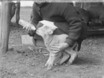 Stilson Film #7, Richmond, Virginia, 1929-1931 by Harris H. Stilson
