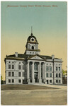 Shiawassee County Court House, Owosso, Mich.