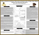 Effects of dissolved and dietary Microcystin on clearance rates of Wedge Clams (Rangia cuneata) in the tidal fresh James River