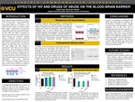 Effects of HIV and Drugs of Abuse on the Blood-Brain Barrier