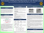The Evaluation of Mefloquine Drug Repurposing on Acute Myeloid Leukemia