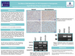 The Effect of DNA Methylation on TP73 Expression in Tumorgenesis