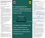 Veteran spinal cord injury: An investigation of the mediating role of pain interference on the relationship between pain and emotional distress. by Carly Blaine, Jack Watson, and Richard Henry
