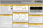 Exploration of the Neuronal Subtype Specificity of an Ethanol Responsive Gene: Glycogen Synthase Kinase 3 Beta (Gsk3b) by Dalton Huey, A van der Vaart, G M. Harris, and M F. MIles