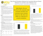 Does Sexual Orientation Moderate between Partner Substance Use and Alcohol Consumption?