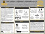 BPTF Enhances Chemotherapy Induced Cytotoxicity