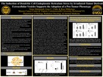 The Induction of Dendritic Cell Endoplasmic Reticulum Stress by Irradiated-Tumor Derived Extracellular Vesicles Supports the Adoption of a Pro-Tumor Phenotype by Sitara Mahmoodi