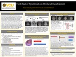 The Role of Pyrethroids on Cell Cycle Regulation and Craniofacial Development in Xenopus laevis by Kylee Hockaday and Deborah Howton