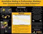 Negative Assortative Mating in Prothonotary Warblers: Crown Feathers Reveal Mating Preference