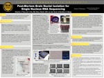 Post-Mortem Brain Nuclei Isolation for Single Nucleus RNA Sequencing by Charles J. Tran, Lin Y. Xie, Min Zhao, Edwin JCG van den Oord, and Karolina A. Aberg